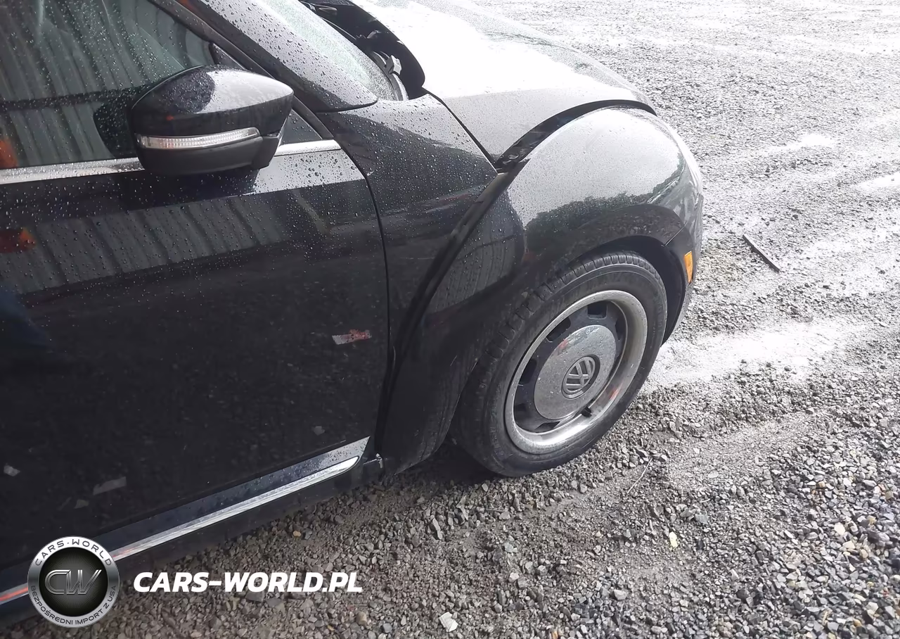 2015 Volkswagen Beetle 1.8T Classic VIN:3VW517AT5FM808416 - 19
