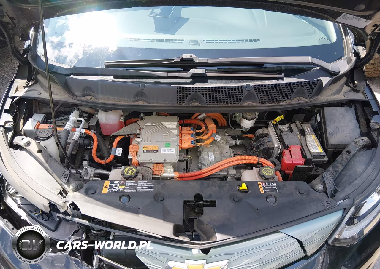 2017 Chevrolet Bolt Ev Lt VIN:1G1FW6S01H4138796 - 10