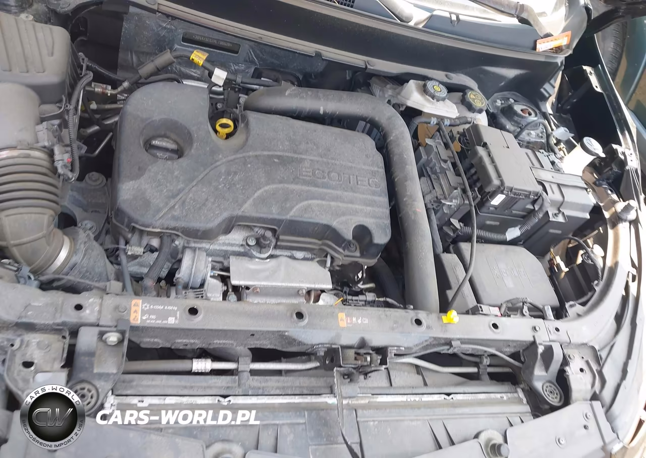 2024 Chevrolet Equinox Awd Ls VIN:3GNAXSEGXRL186526 - 10