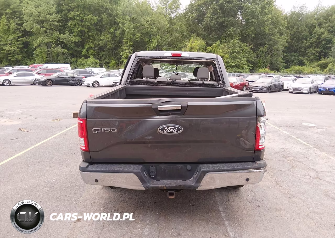 2017 Ford F-150 Xlt VIN:1FTEW1EP0HFB27971 - 17