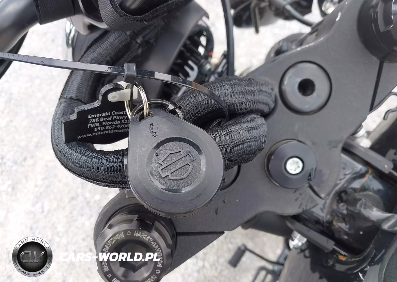 2020 Harley-Davidson Fxlrs VIN:1HD1YWK10LB023629 - 11