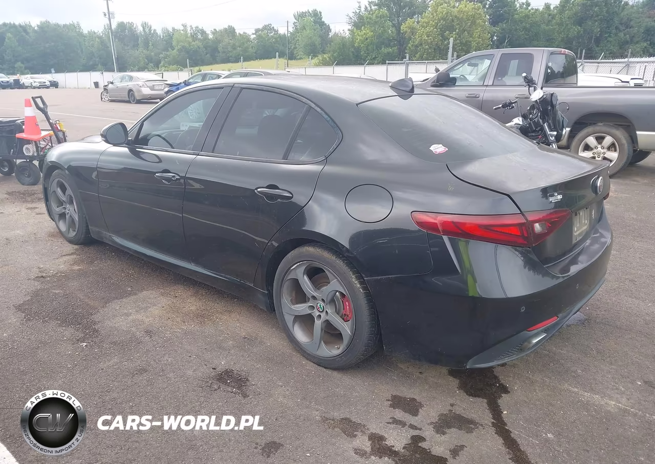 2017 Alfa Romeo Giulia Rwd VIN:ZARFAEBN7H7532433 - 3