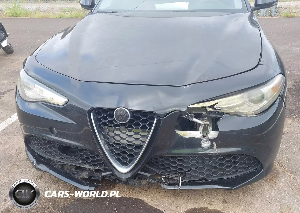2017 Alfa Romeo Giulia Rwd VIN:ZARFAEBN7H7532433 - 6