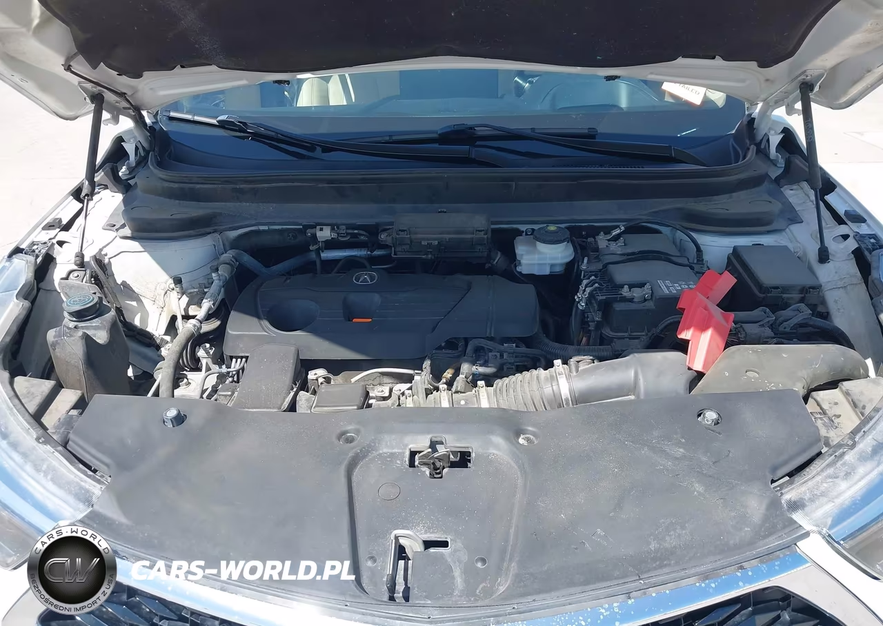 2019 Acura Rdx Advance Package VIN:5J8TC1H7XKL016379 - 10