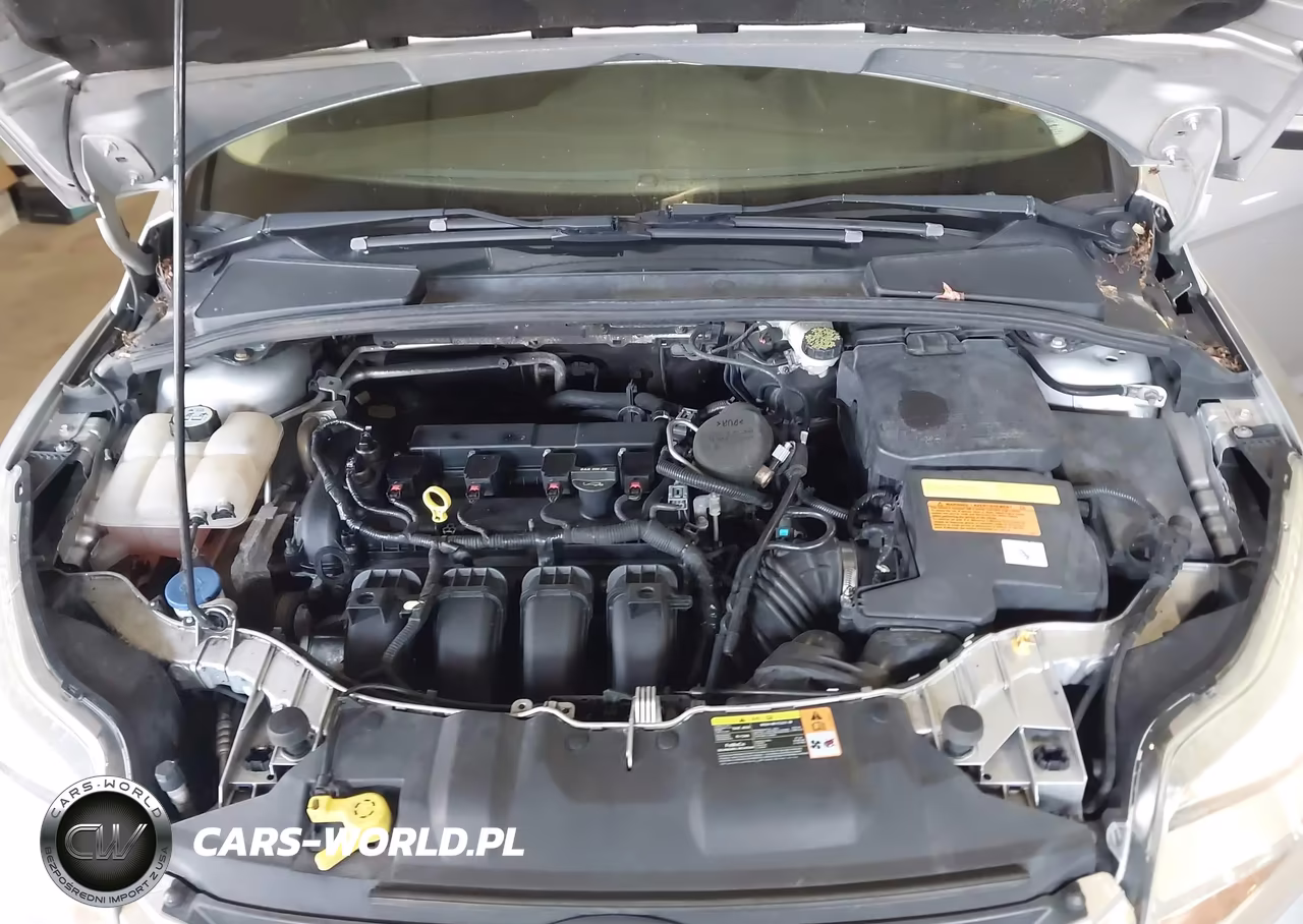 2013 Ford Focus Se VIN:1FADP3F25DL190010 - 10