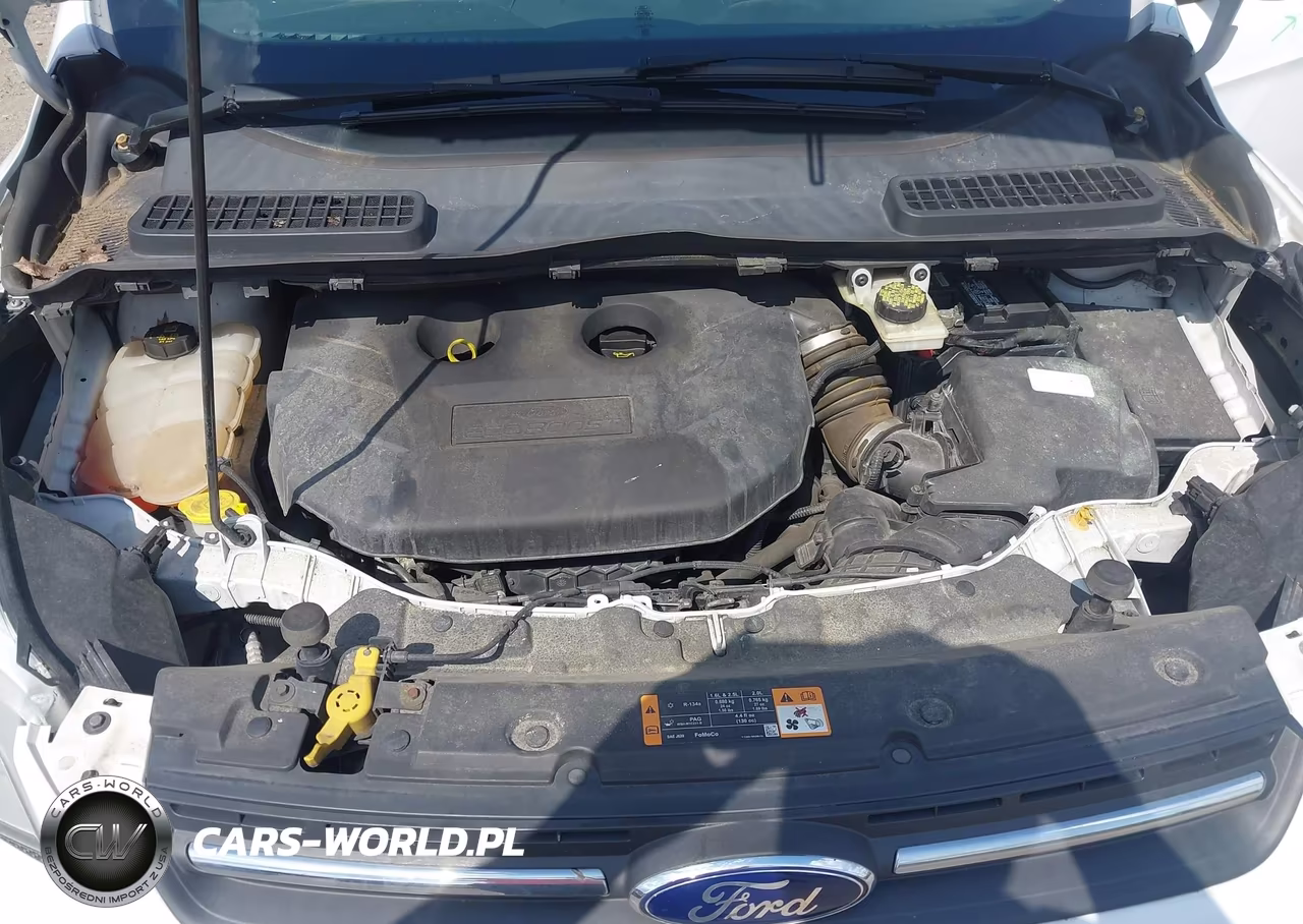 2014 Ford Escape Se VIN:1FMCU9G99EUC86260 - 10