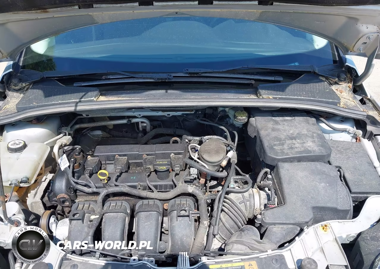 2012 Ford Focus Sel VIN:1FAHP3H2XCL374064 - 10