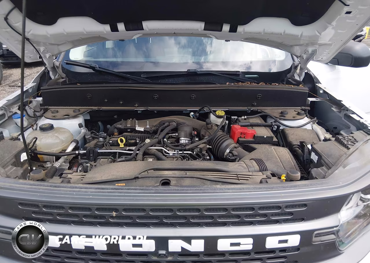 2024 Ford Bronco Sport Badlands VIN:3FMCR9D94RRE30476 - 10