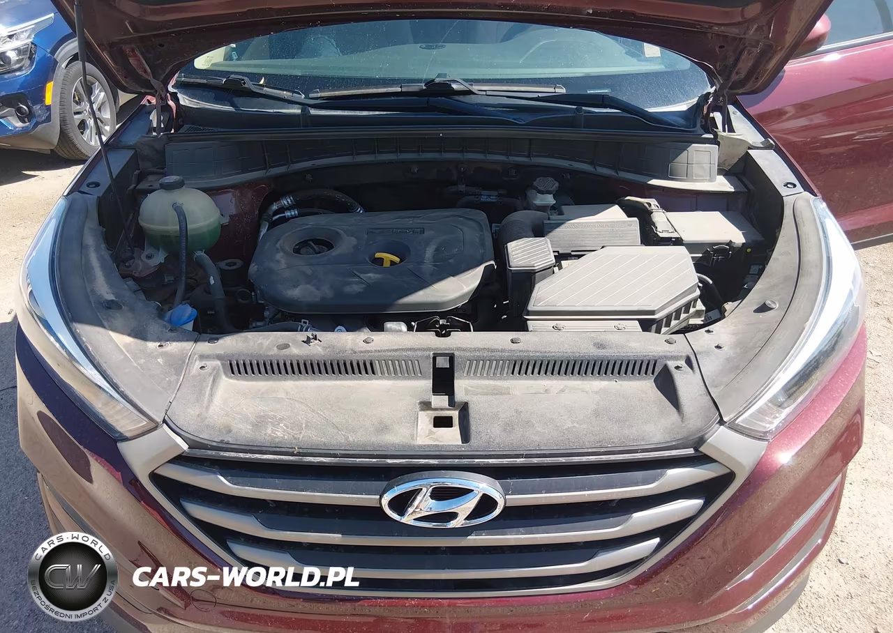 2016 Hyundai Tucson Se VIN:KM8J23A48GU092295 - 10
