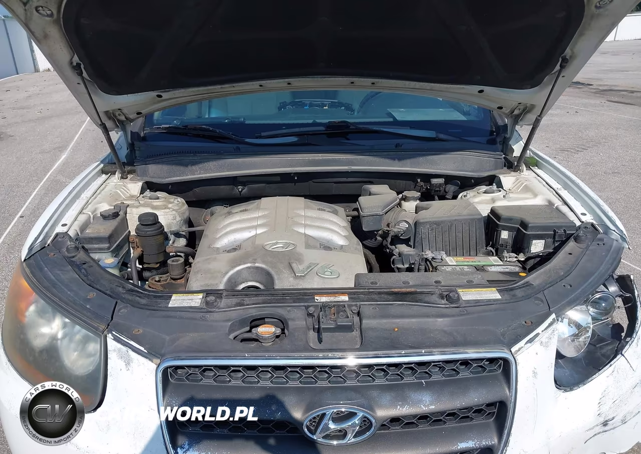 2007 Hyundai Santa Fe Limited-Se VIN:5NMSH13E87H087235 - 10