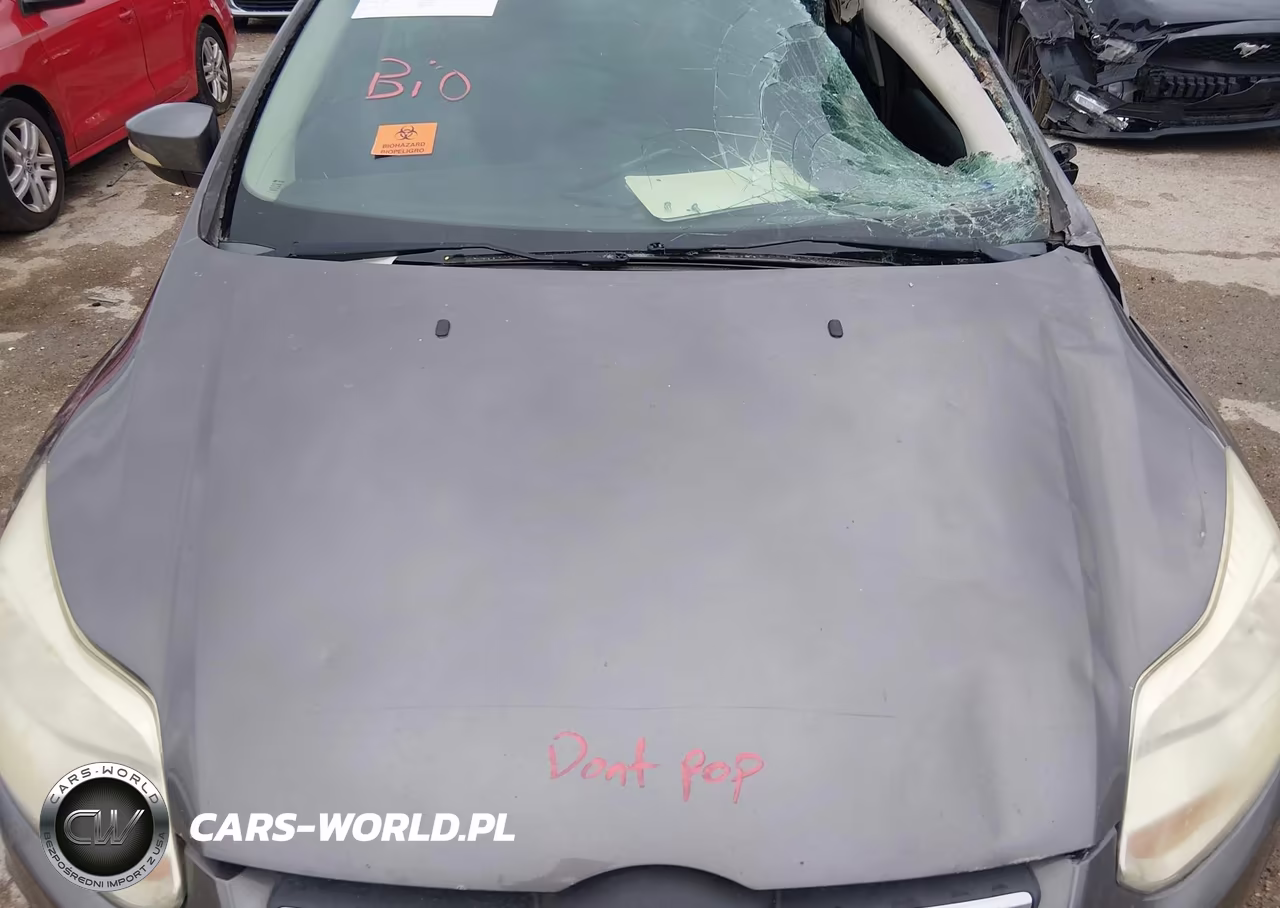 2014 Ford Focus Se VIN:1FADP3F23EL266258 - 10