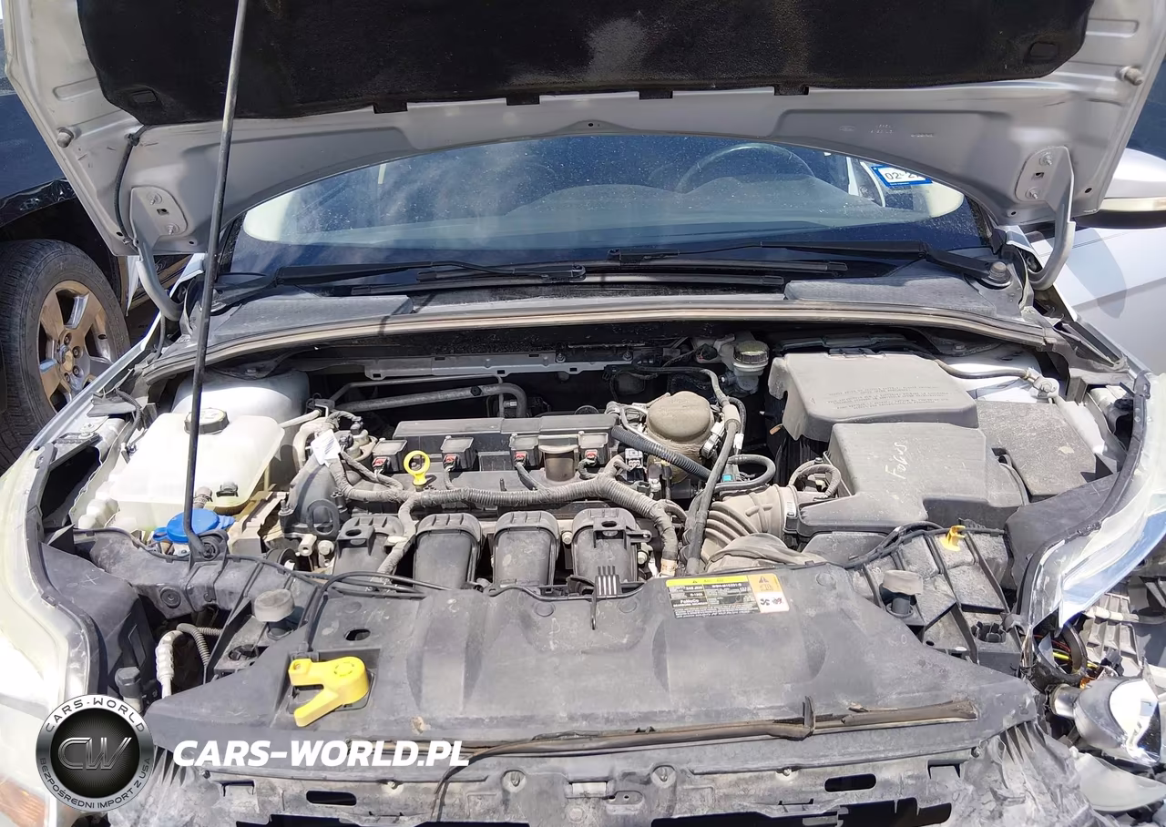 2014 Ford Focus Se VIN:1FADP3F29EL187113 - 10
