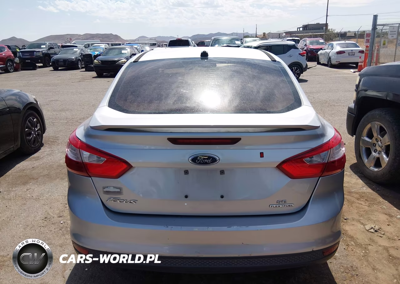 2014 Ford Focus Se VIN:1FADP3F29EL187113 - 17