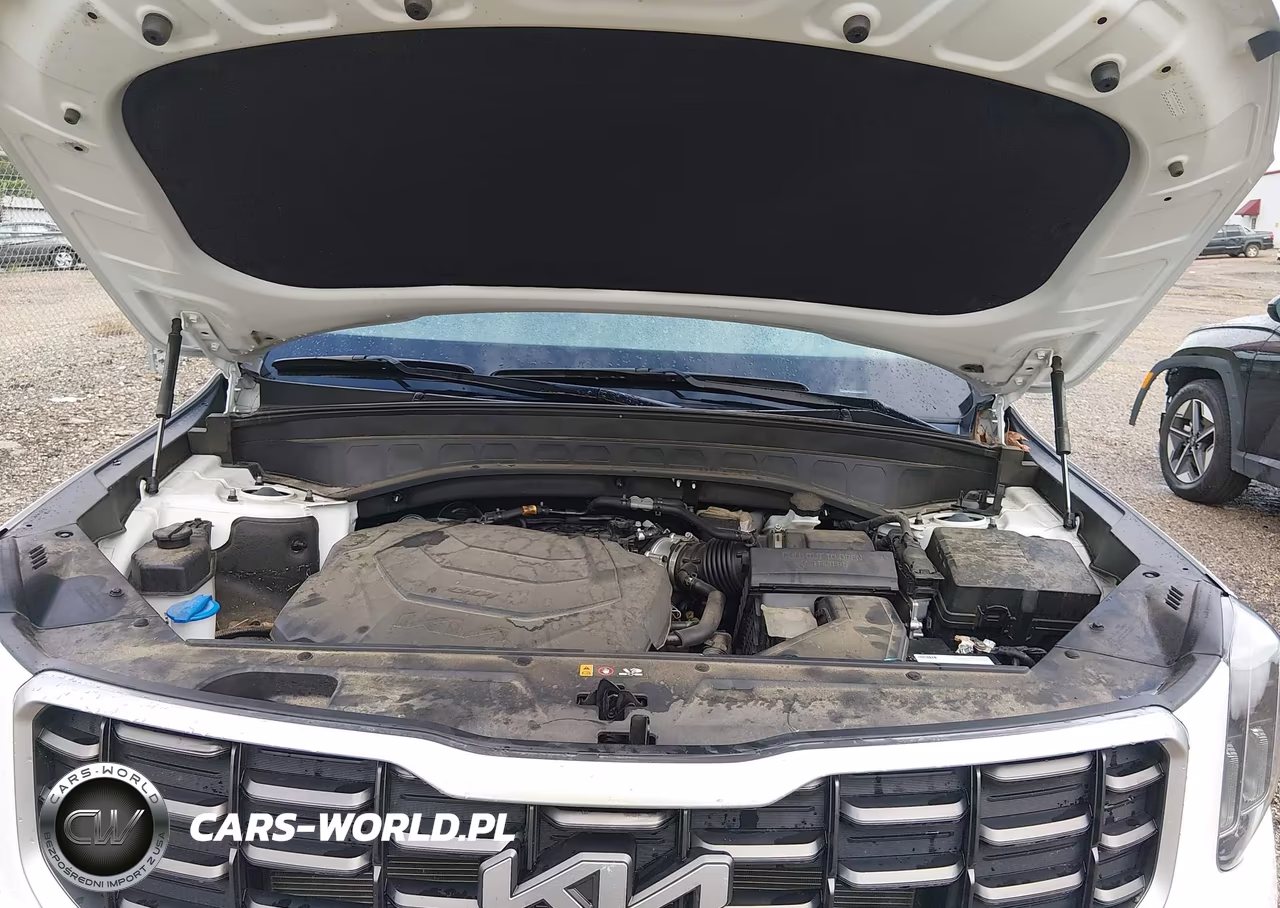 2024 Kia Telluride Sx VIN:5XYP54GCXRG431640 - 10