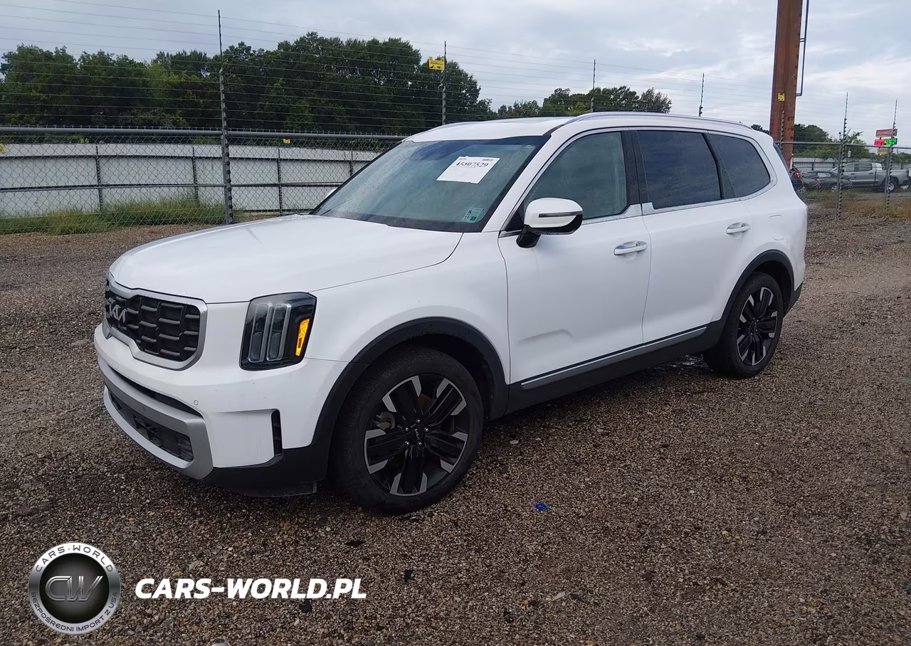 2024 Kia Telluride Sx VIN:5XYP54GCXRG431640 - 2