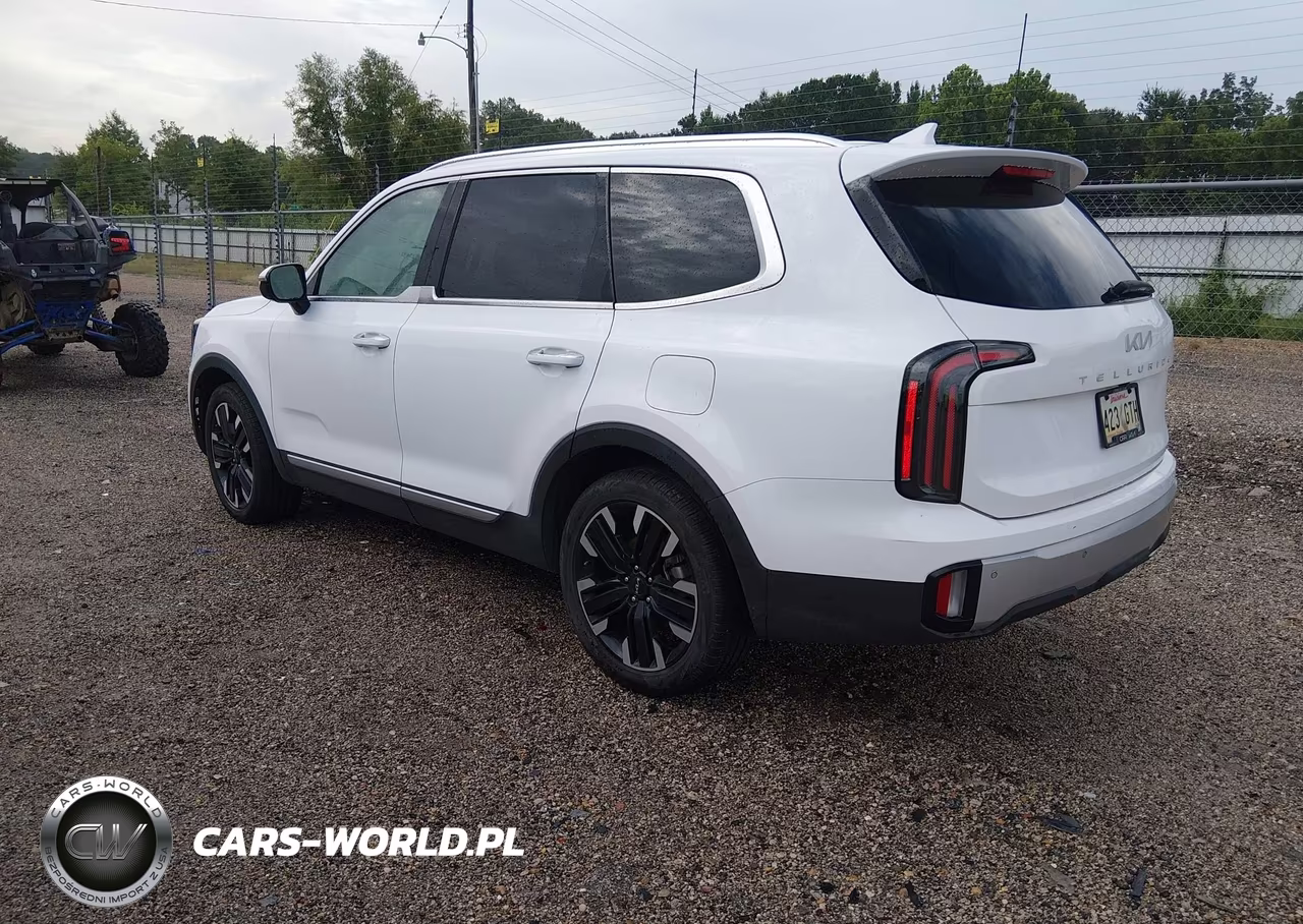 2024 Kia Telluride Sx VIN:5XYP54GCXRG431640 - 3