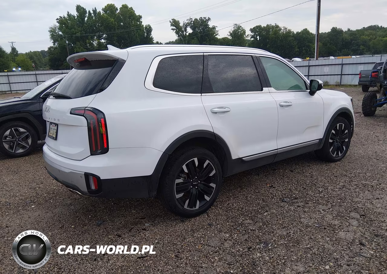 2024 Kia Telluride Sx VIN:5XYP54GCXRG431640 - 4