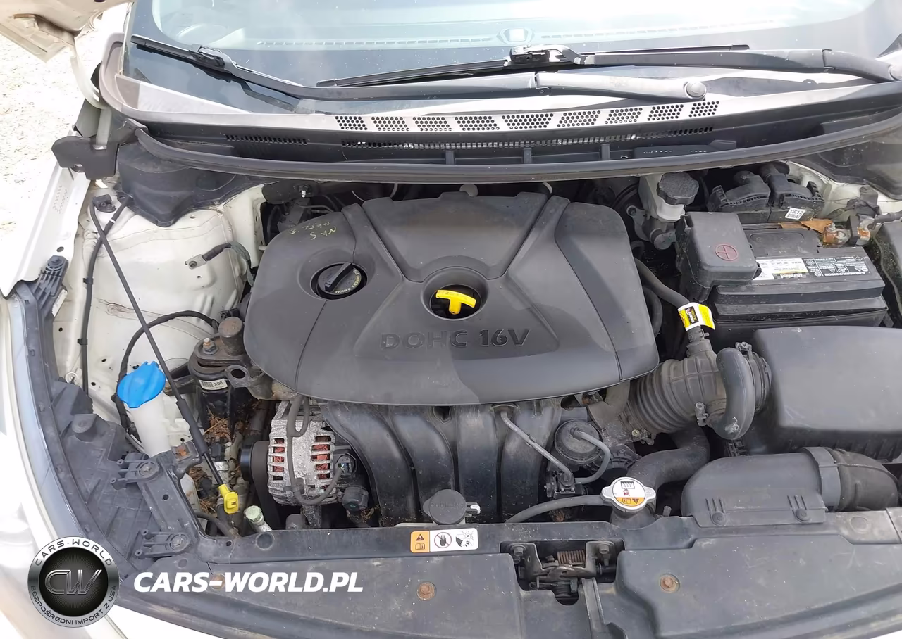 2016 Kia Forte Lx VIN:KNAFX4A67G5491998 - 10