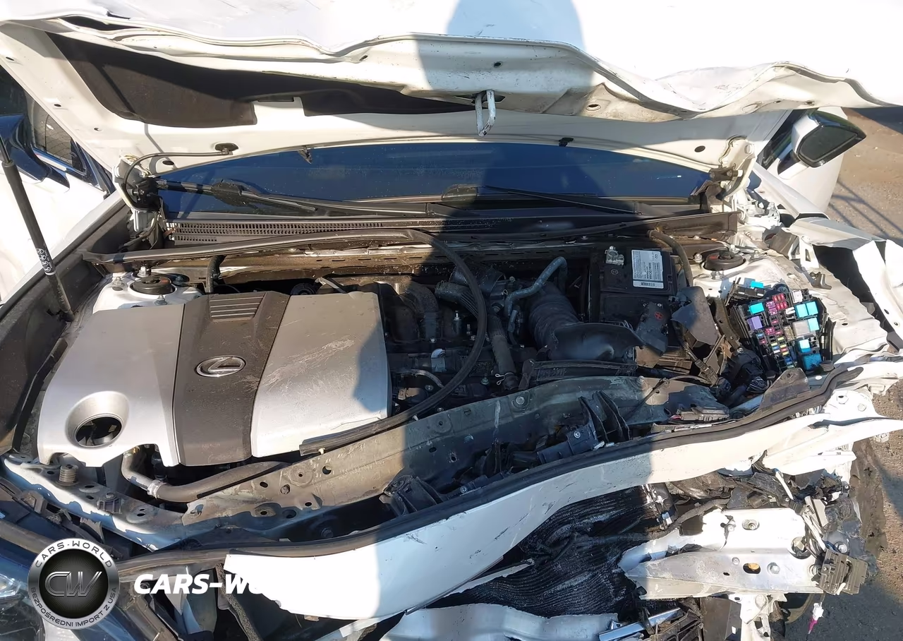 2022 Lexus Es 350 VIN:58ADZ1B15NU125678 - 10