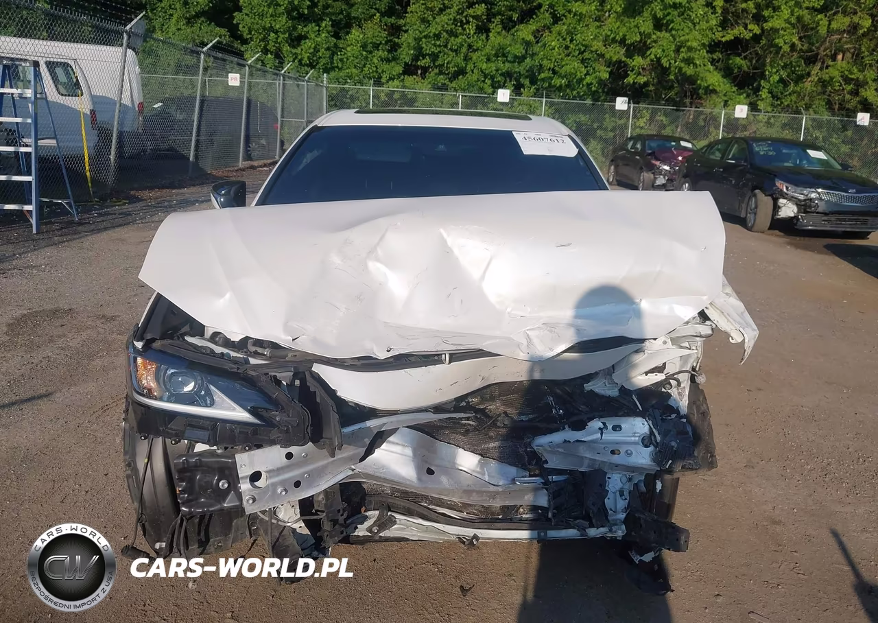 2022 Lexus Es 350 VIN:58ADZ1B15NU125678 - 12