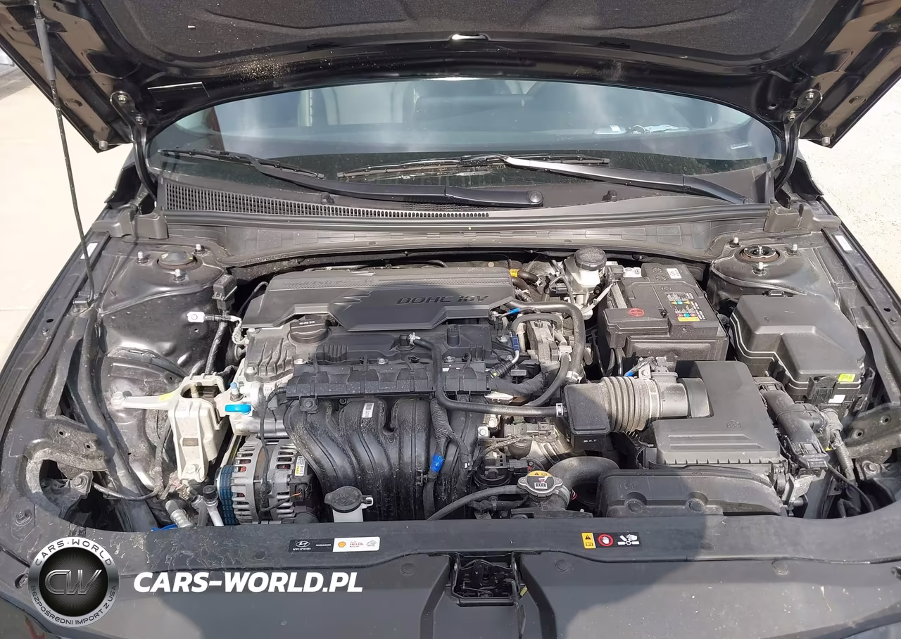 2025 Hyundai Elantra Limited VIN:KMHLP4DG8SU081635 - 10