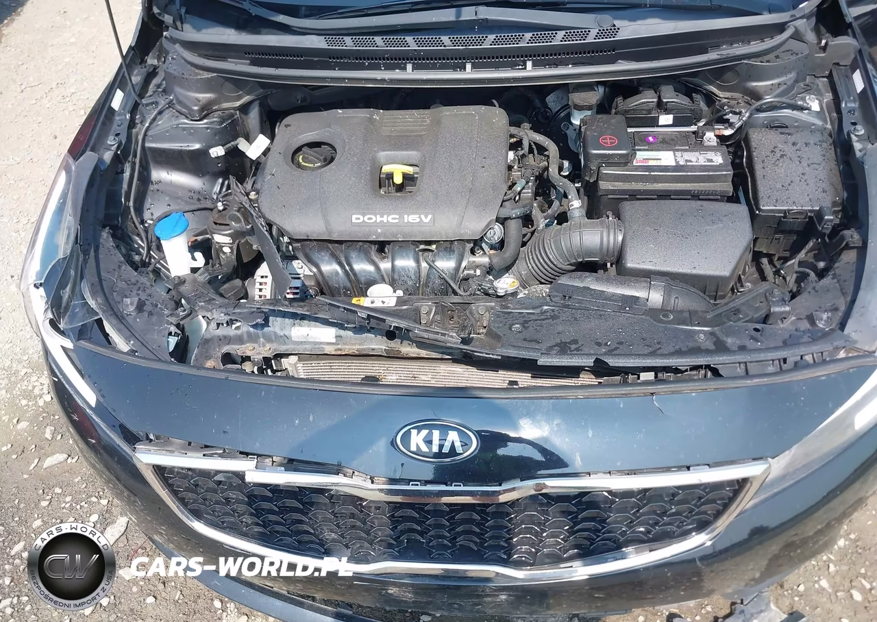 2017 Kia Forte Lx VIN:3KPFK4A78HE034875 - 10