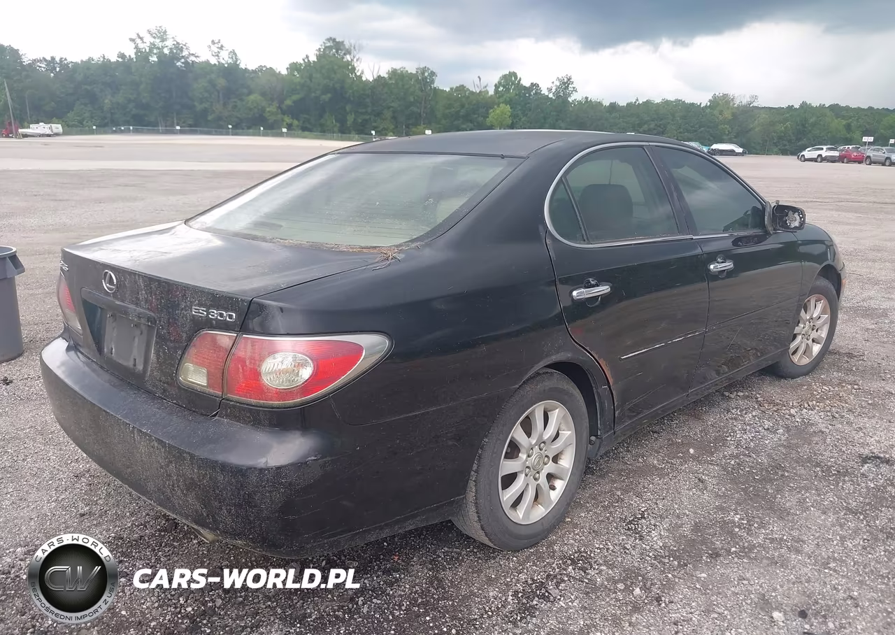 2003 Lexus Es 300 VIN:JTHBF30G236007358 - 4