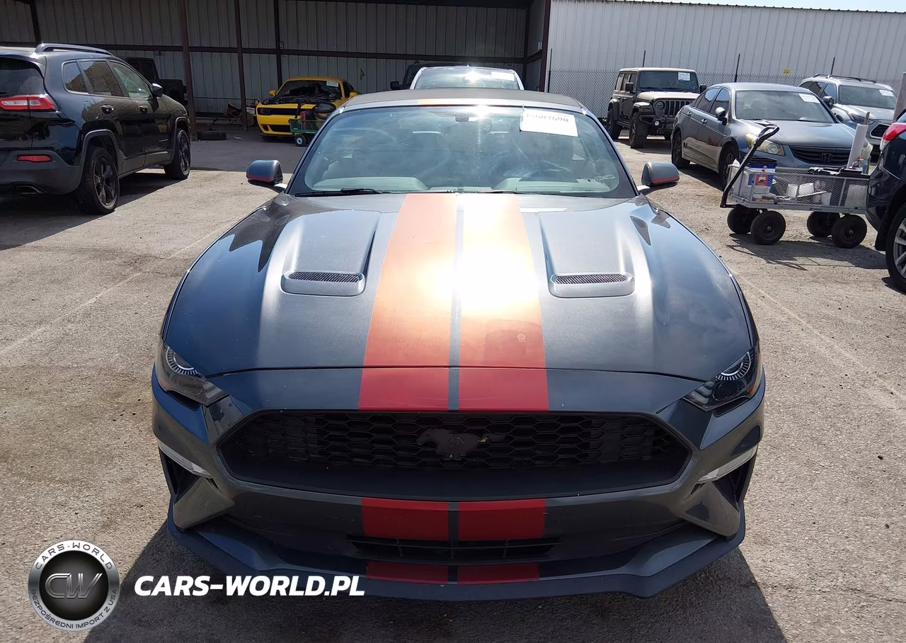 2018 Ford Mustang Ecoboost Premium VIN:1FATP8UHXJ5145418 - 12