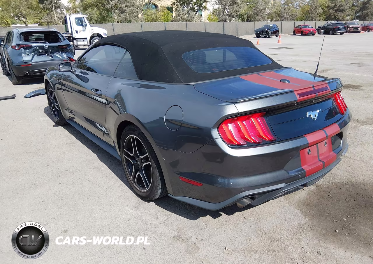 2018 Ford Mustang Ecoboost Premium VIN:1FATP8UHXJ5145418 - 3