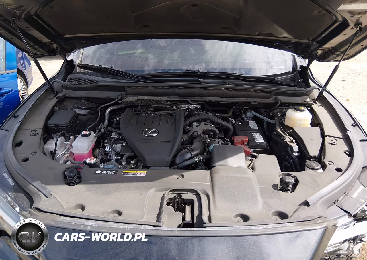 2025 Lexus Rx 350 VIN:2T2BAMBAXSC053361 - 10