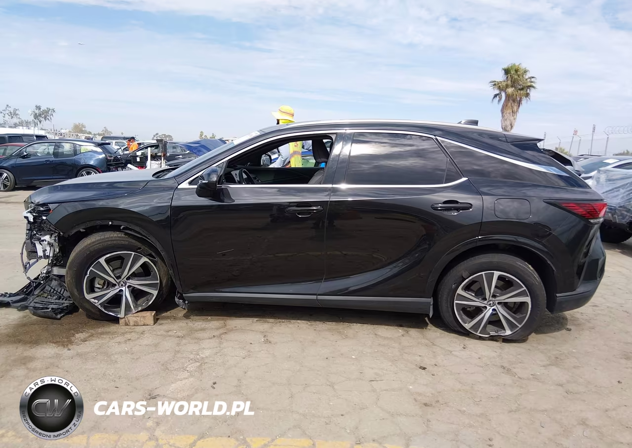2025 Lexus Rx 350 VIN:2T2BAMBAXSC053361 - 13