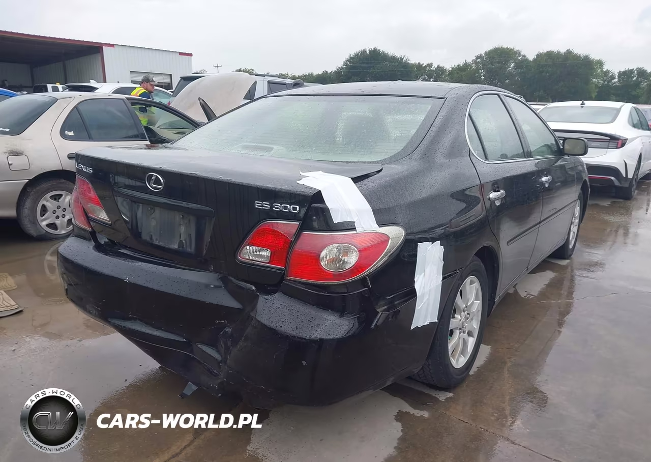 2003 Lexus Es 300 VIN:JTHBF30G830143903 - 4