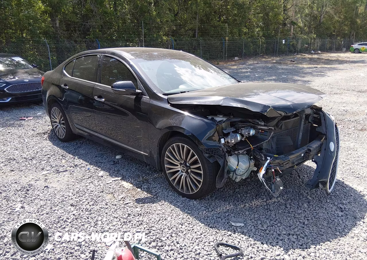 2014 Kia Cadenza Premium