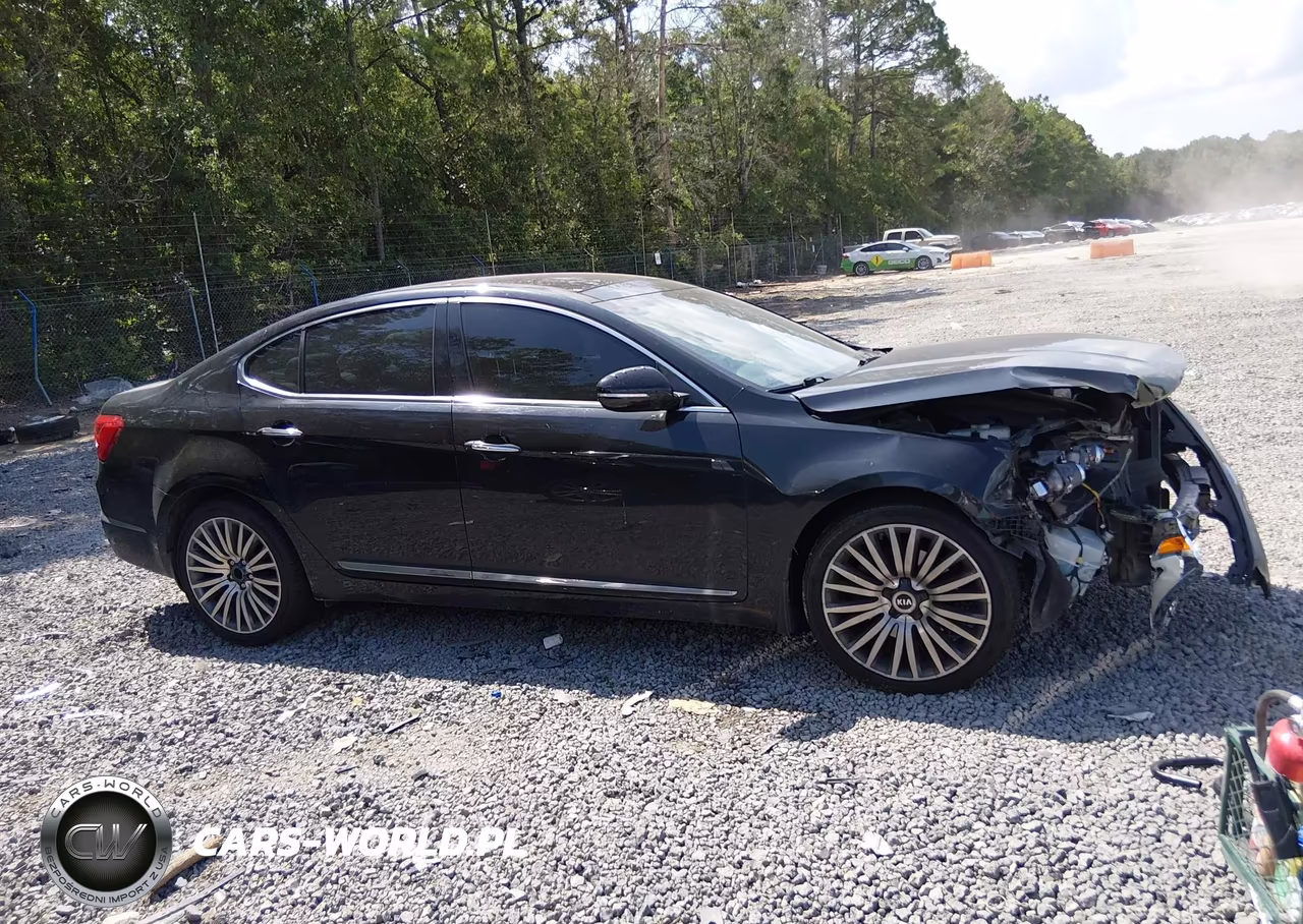 2014 Kia Cadenza Premium VIN:KNALN4D79E5126281 - 13