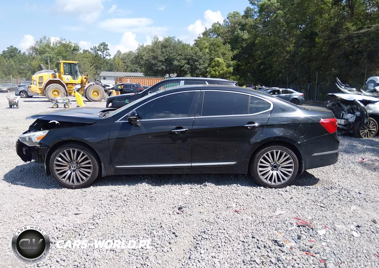 2014 Kia Cadenza Premium VIN:KNALN4D79E5126281 - 14