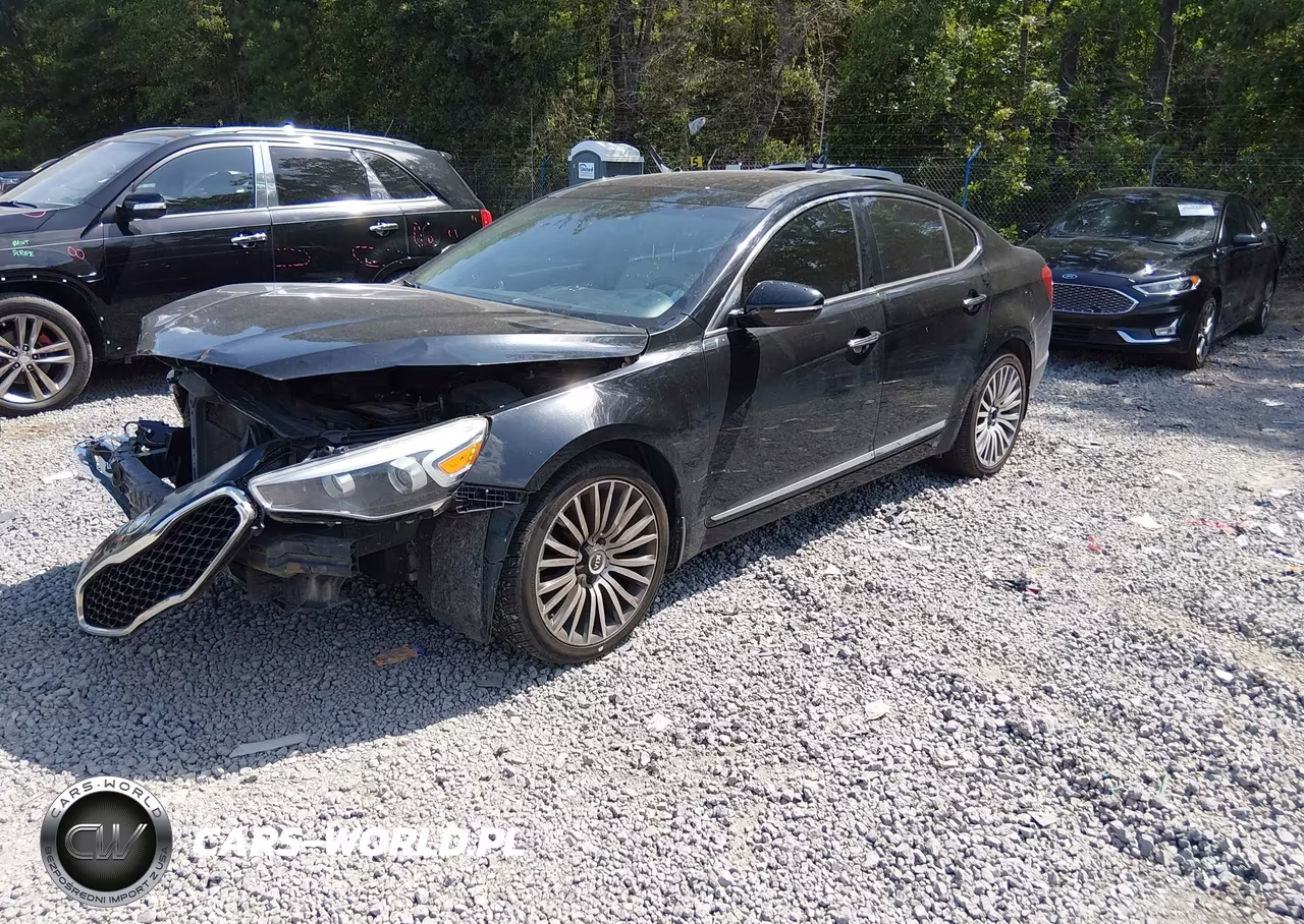 2014 Kia Cadenza Premium VIN:KNALN4D79E5126281 - 2