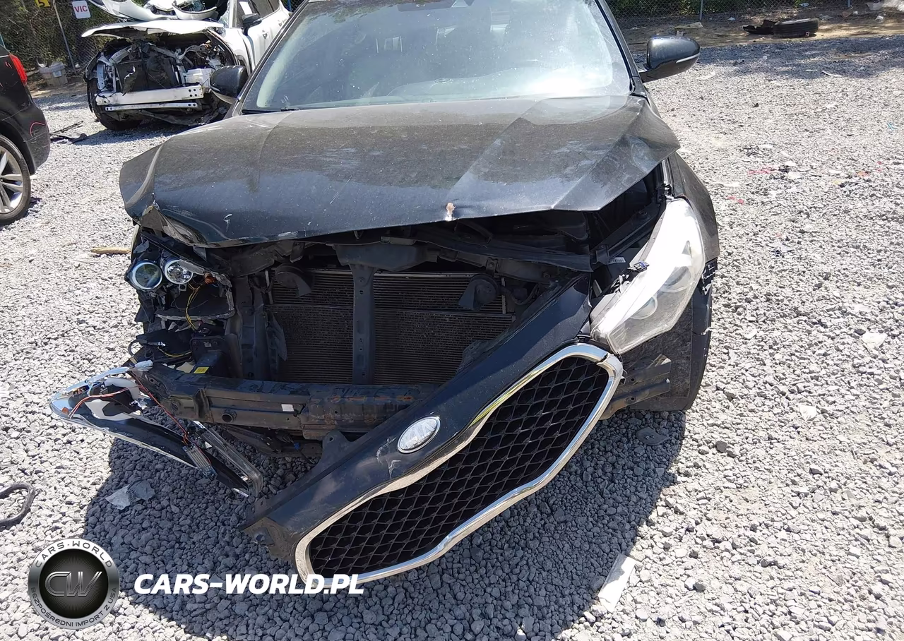2014 Kia Cadenza Premium VIN:KNALN4D79E5126281 - 6