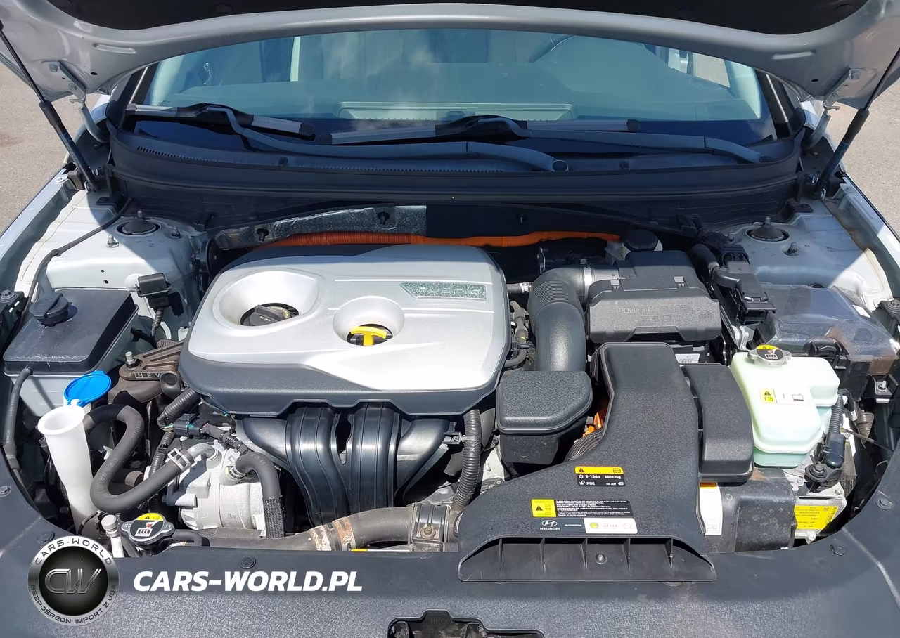 2018 Hyundai Sonata Hybrid Se VIN:KMHE24L3XJA085806 - 10