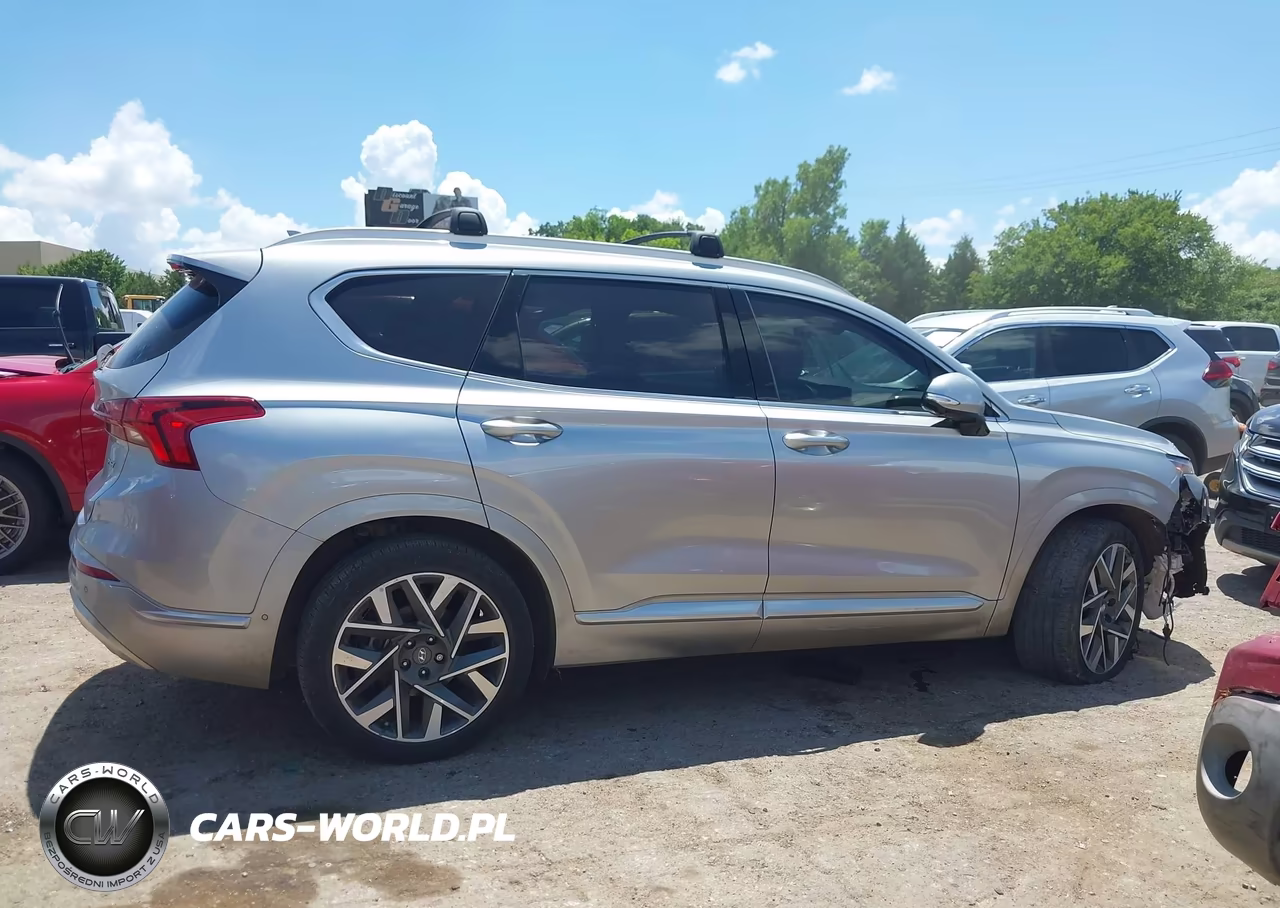 2023 Hyundai Santa Fe Calligraphy VIN:5NMS54AL4PH611749 - 13