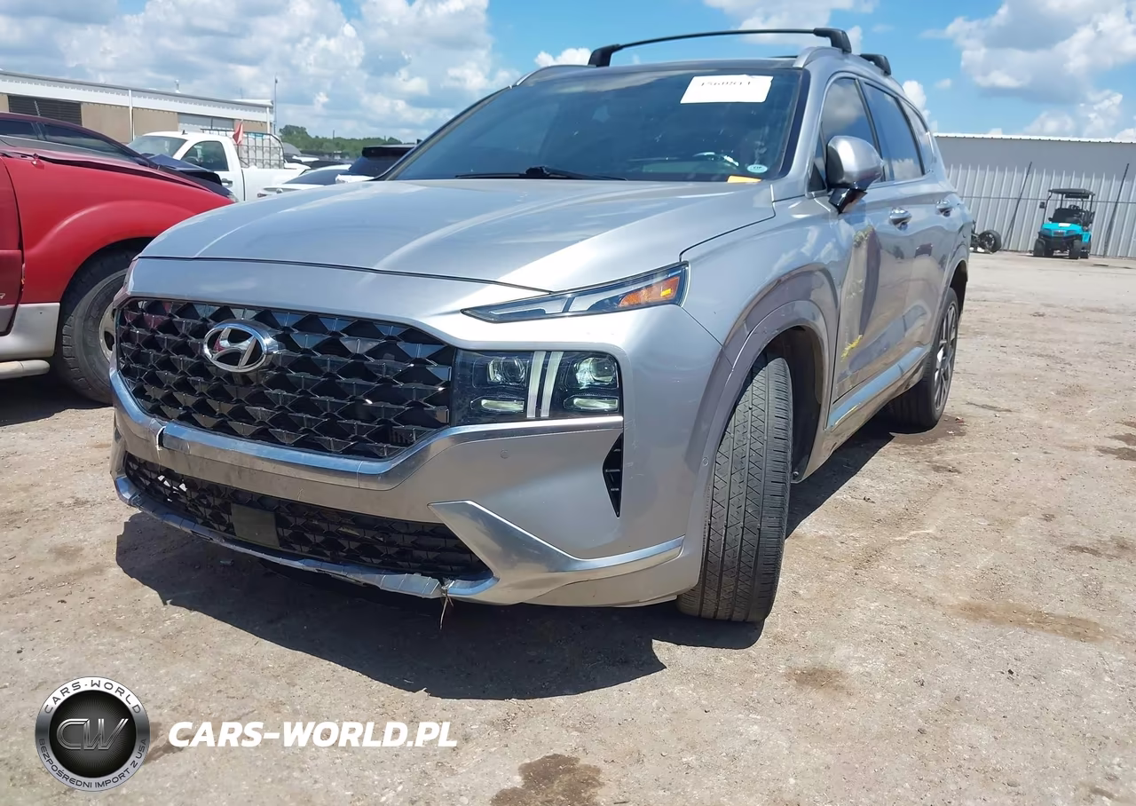 2023 Hyundai Santa Fe Calligraphy VIN:5NMS54AL4PH611749 - 2