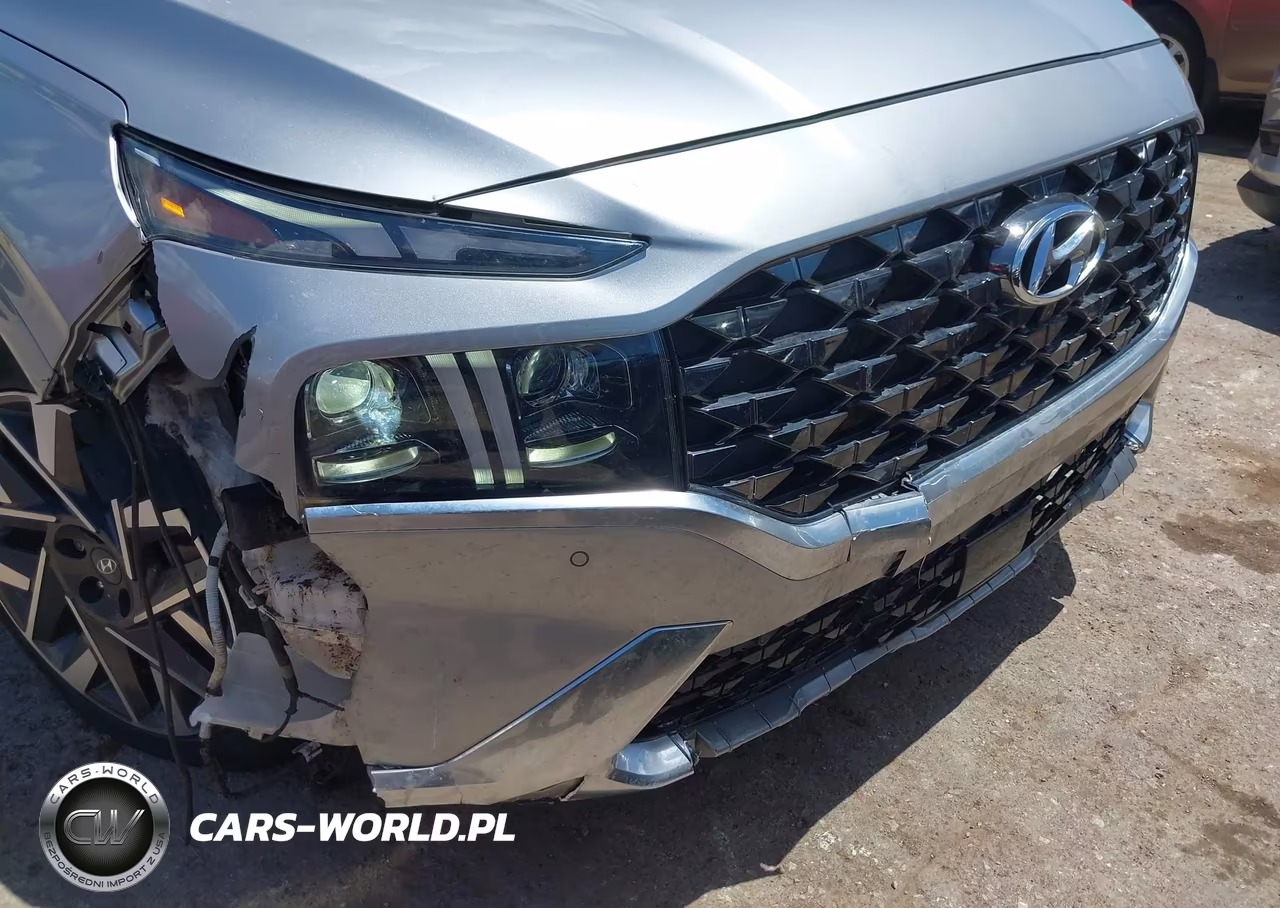 2023 Hyundai Santa Fe Calligraphy VIN:5NMS54AL4PH611749 - 6