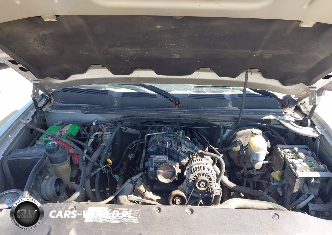 2010 Chevrolet Silverado 1500 Lt VIN:1GCSKSE39AZ162305 - 10