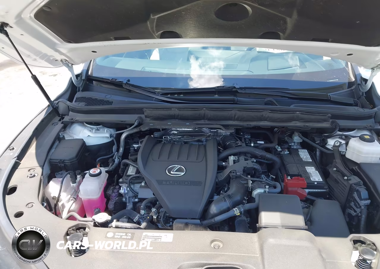 2024 Lexus Rx 350 Premium Plus VIN:2T2BAMBA6RC022473 - 10