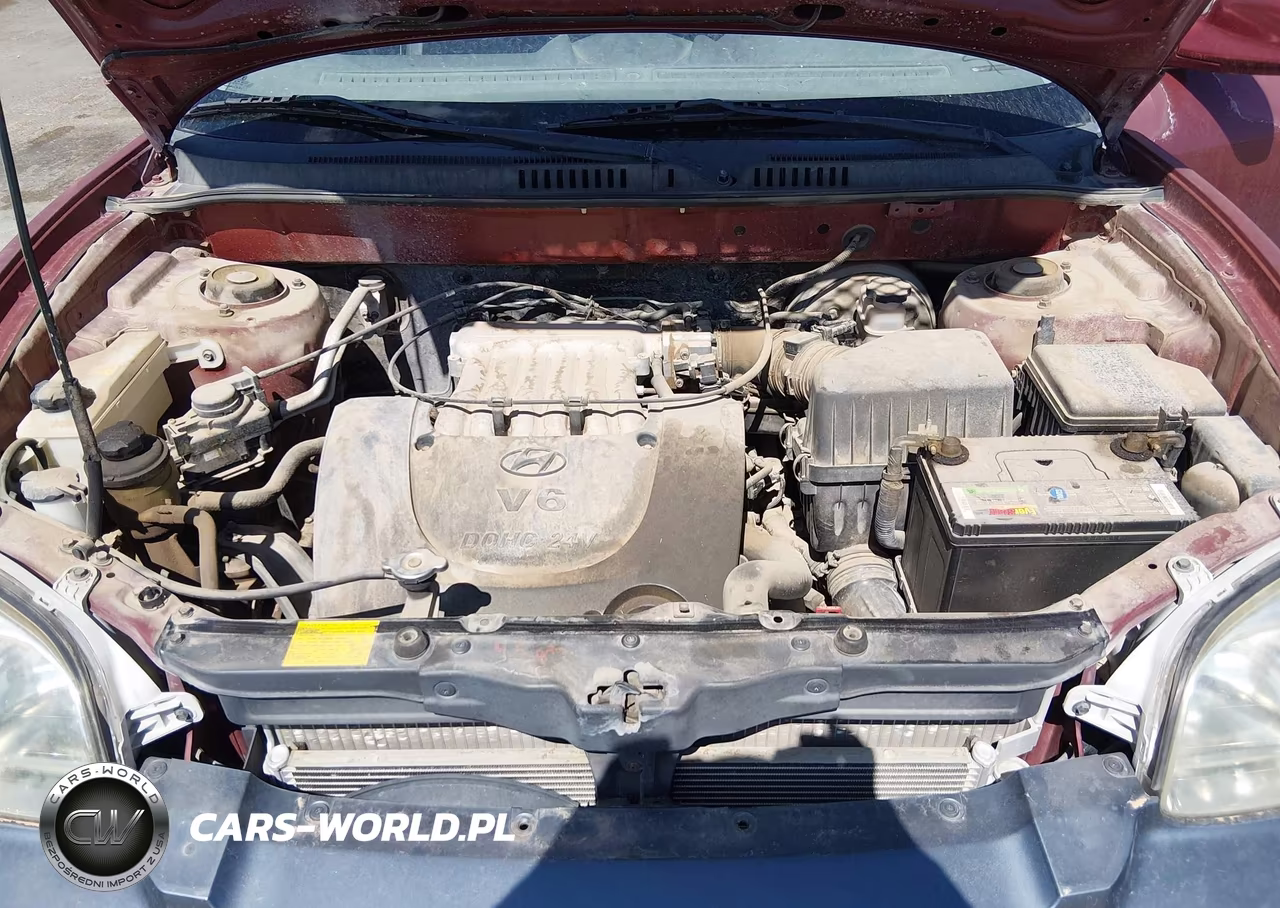 2001 Hyundai Santa Fe 2.7L V6 Gls-2.7L V6 Lx VIN:KM8SC83DO1U129052 - 10