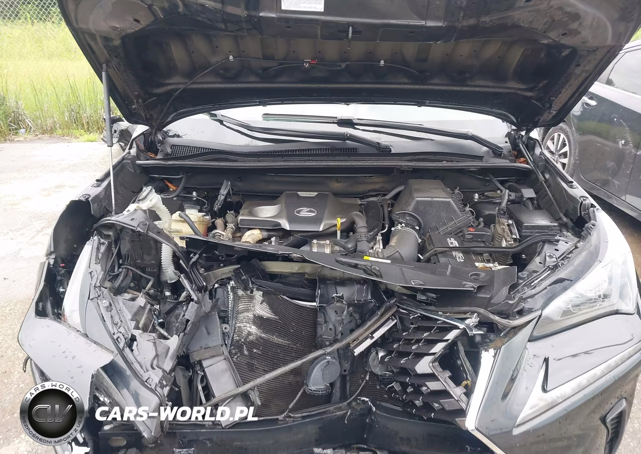 2019 Lexus Nx 300 VIN:JTJBARBZ3K2181718 - 10