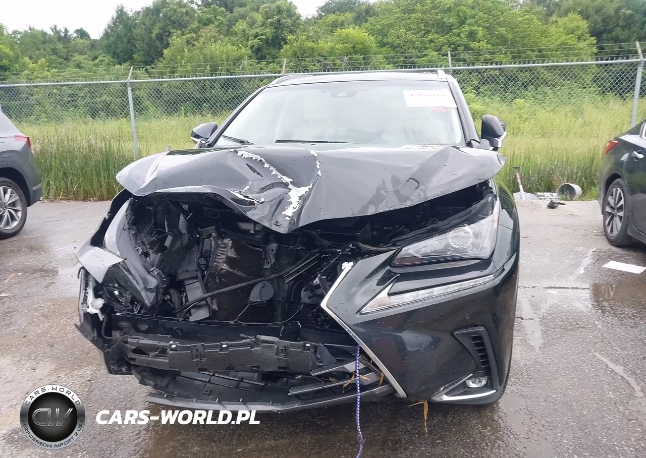 2019 Lexus Nx 300 VIN:JTJBARBZ3K2181718 - 11