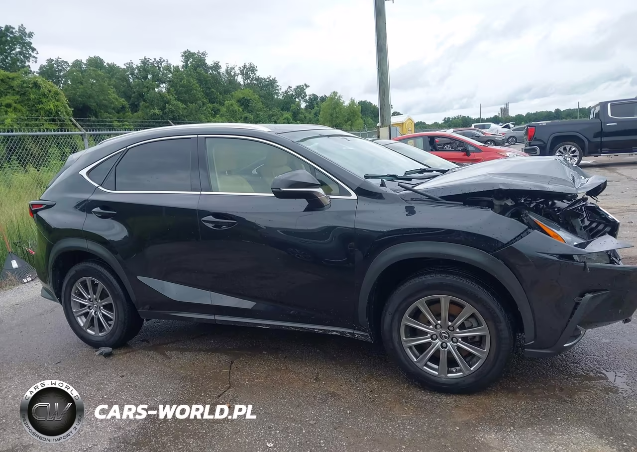 2019 Lexus Nx 300 VIN:JTJBARBZ3K2181718 - 12
