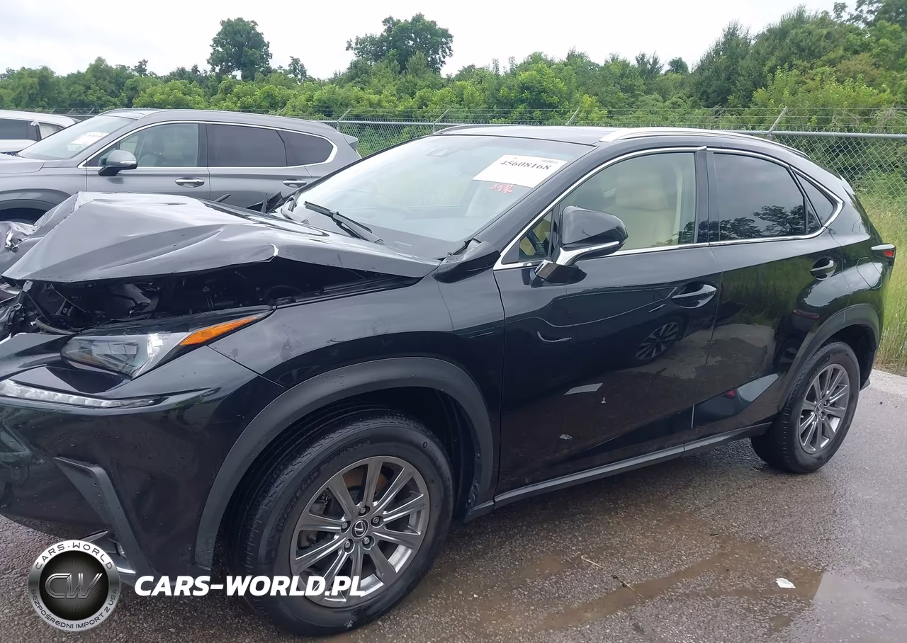 2019 Lexus Nx 300 VIN:JTJBARBZ3K2181718 - 13