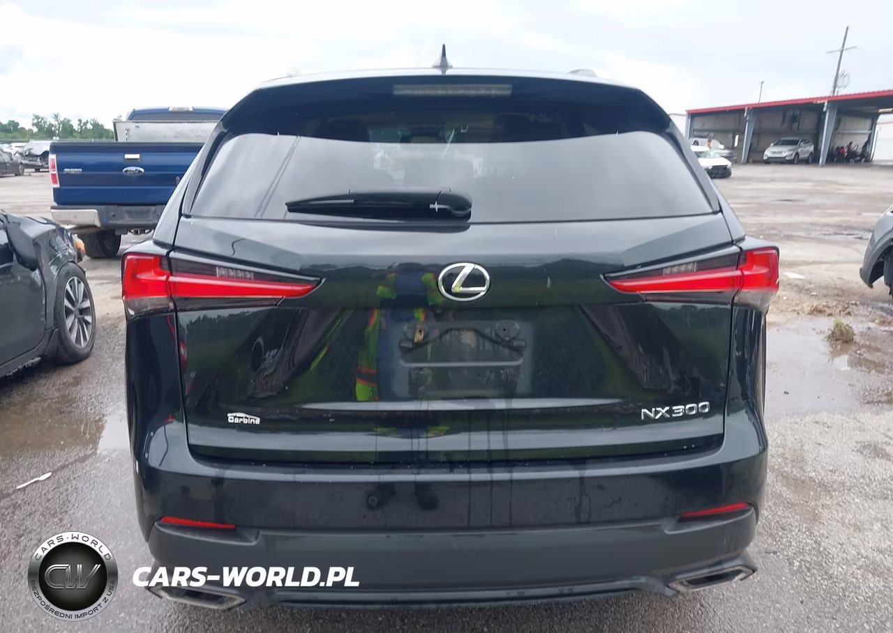 2019 Lexus Nx 300 VIN:JTJBARBZ3K2181718 - 15