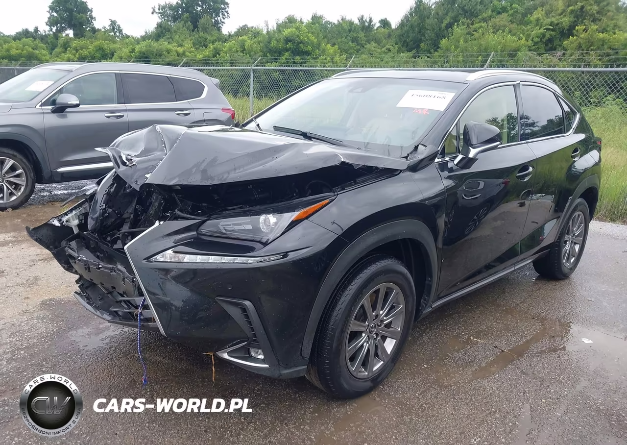2019 Lexus Nx 300 VIN:JTJBARBZ3K2181718 - 2